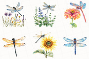 Summer Dragonfly Garden Clipart, an Illustration by OK Design (Thumbnail 5 of 5)
