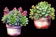 Succulents Watercolour Clipart, a Decorative Illustration by LekoArt (Thumbnail 9 of 10)
