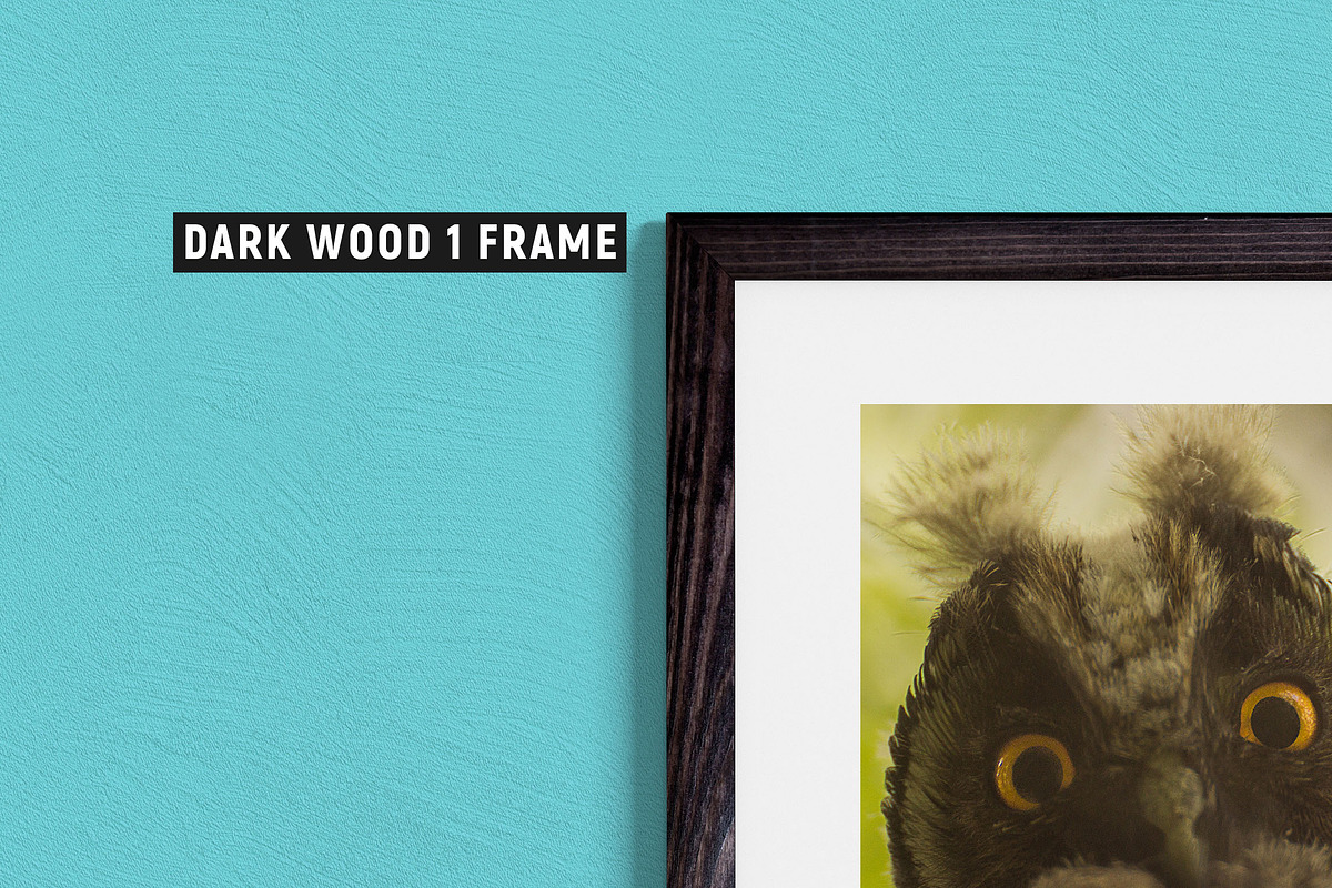 10 Frames - Wood & Metal + 7 Walls, a Print Template by CorgiAstronaut (Photo 12 of 19)