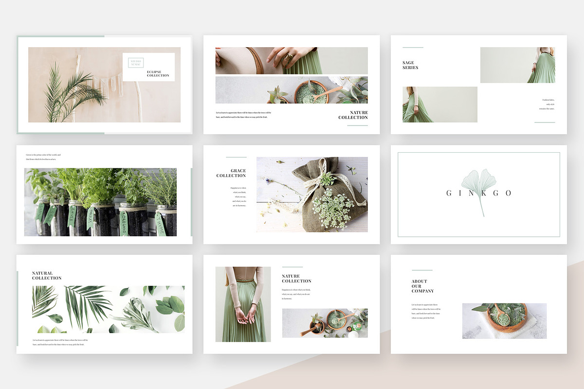 Ginkgo PowerPoint Presentation, a Presentation Template by Studio Sumac (Photo 4 of 6)