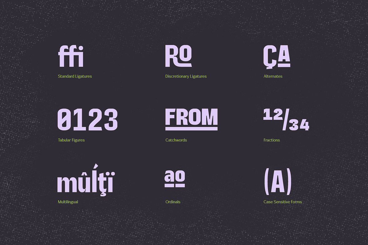 Gardo Grotesk | A Display Sans, a Sans Serif Font by Ayca Atalay (Photo 8 of 10)