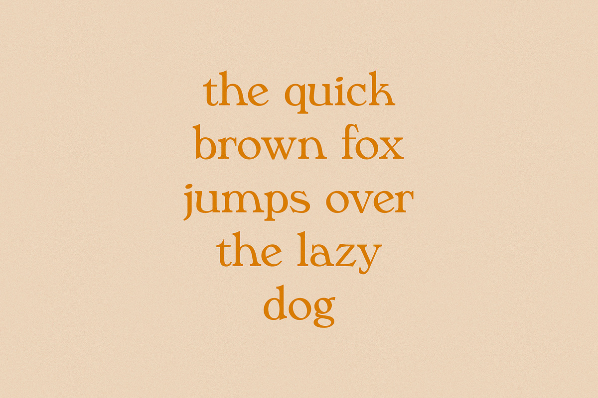 Phaedra // A Retro Serif Typeface, a Serif Font by Megs Lang (Photo 8 of 17)