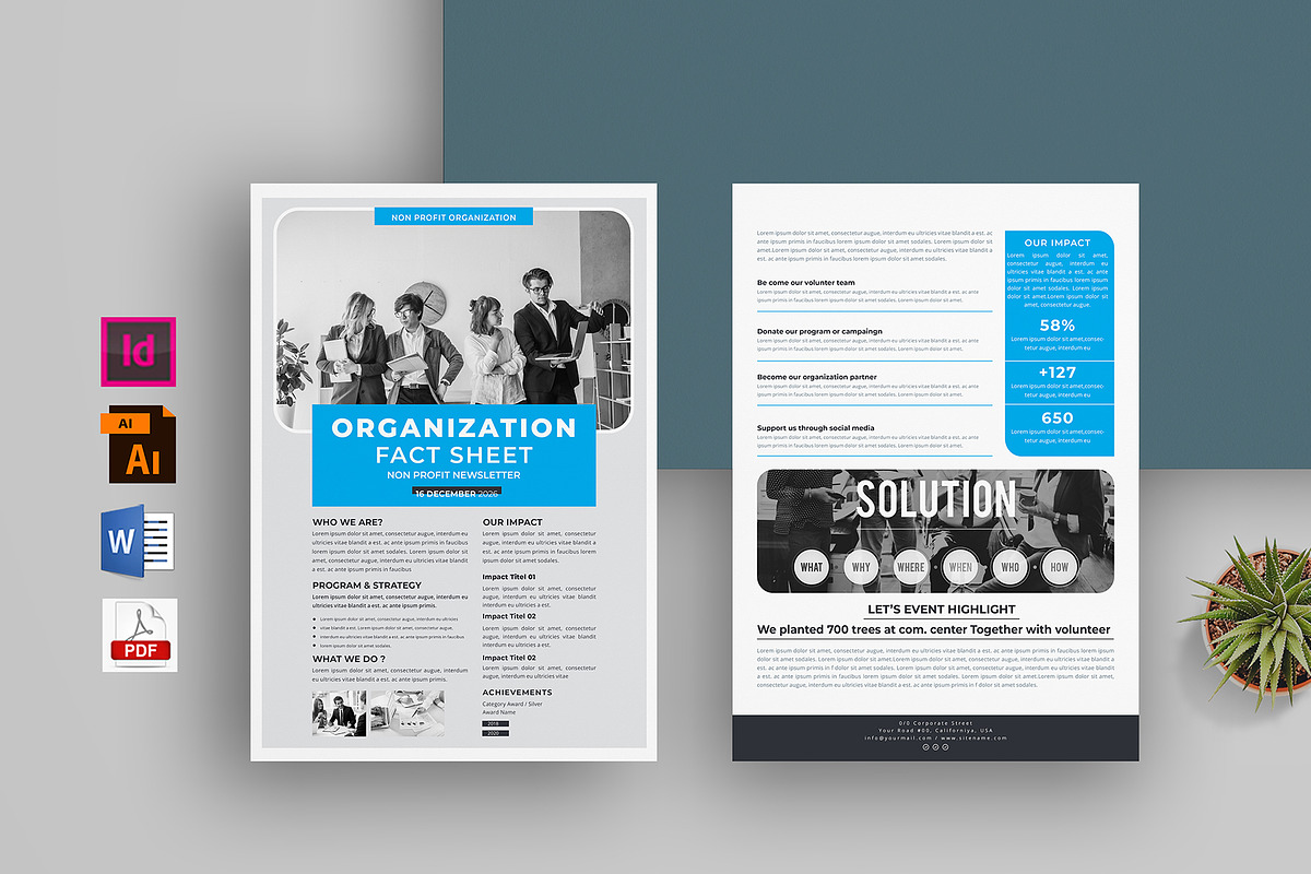 Nonprofit Organization Fact Sheet, a Flyer Template by obayes