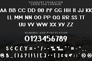 Bolding Script, a Script Font by FreshTypeINK (Thumbnail 6 of 8)