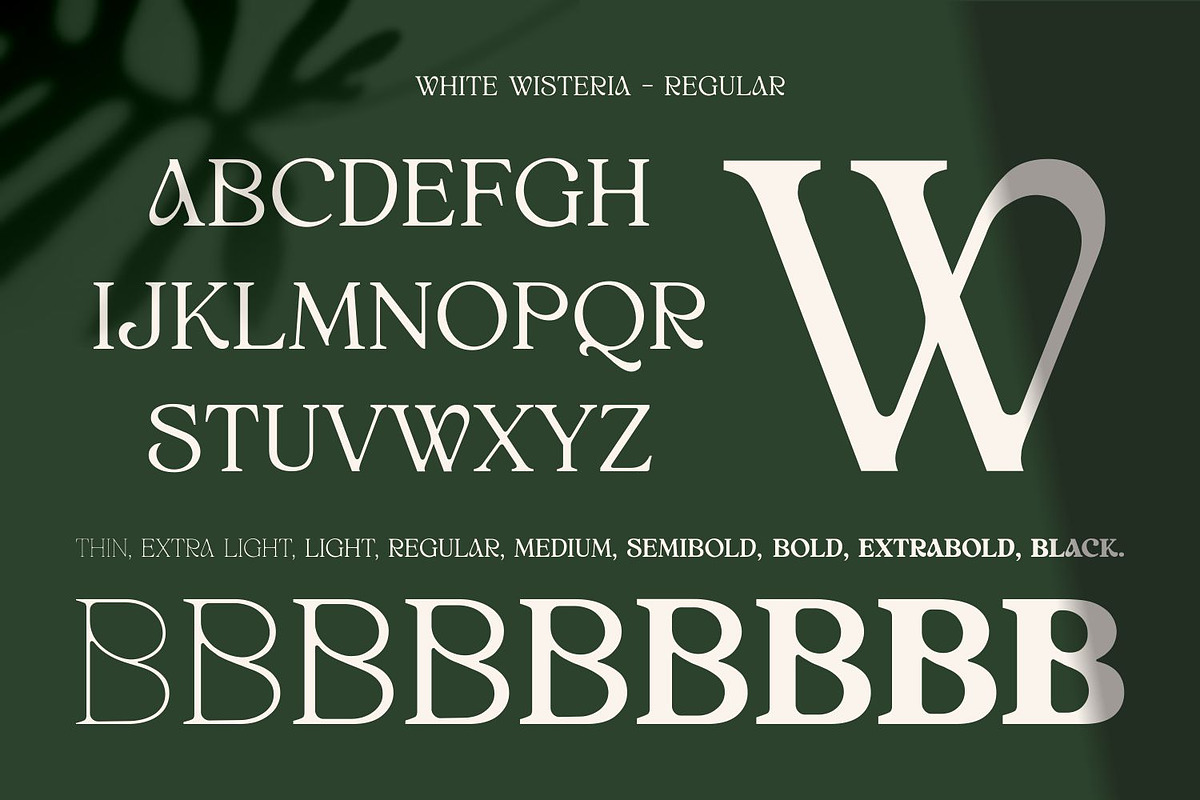 White Wisteria Fonts Family, a Serif Font by Asenbayu (Photo 8 of 13)