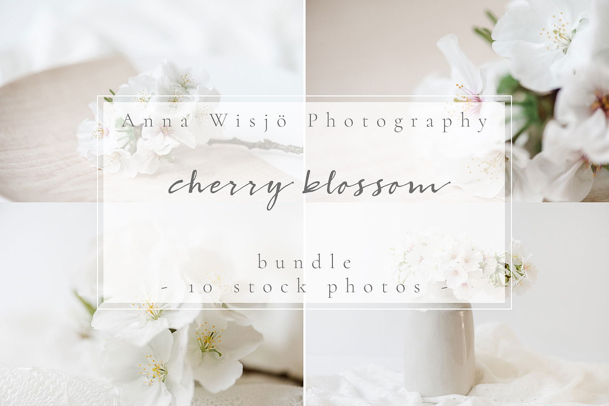 Cherry blossom | stock bundle containing stock photo, styled stock, and, a Nature Photo by Anna Wisjo Studio (Photo 1 of 3)