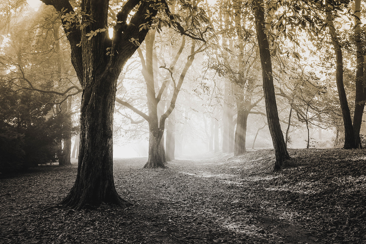 25 Dual Tone Landscape Presets, a Preset Add-On by Timeless Presets (Photo 5 of 10)