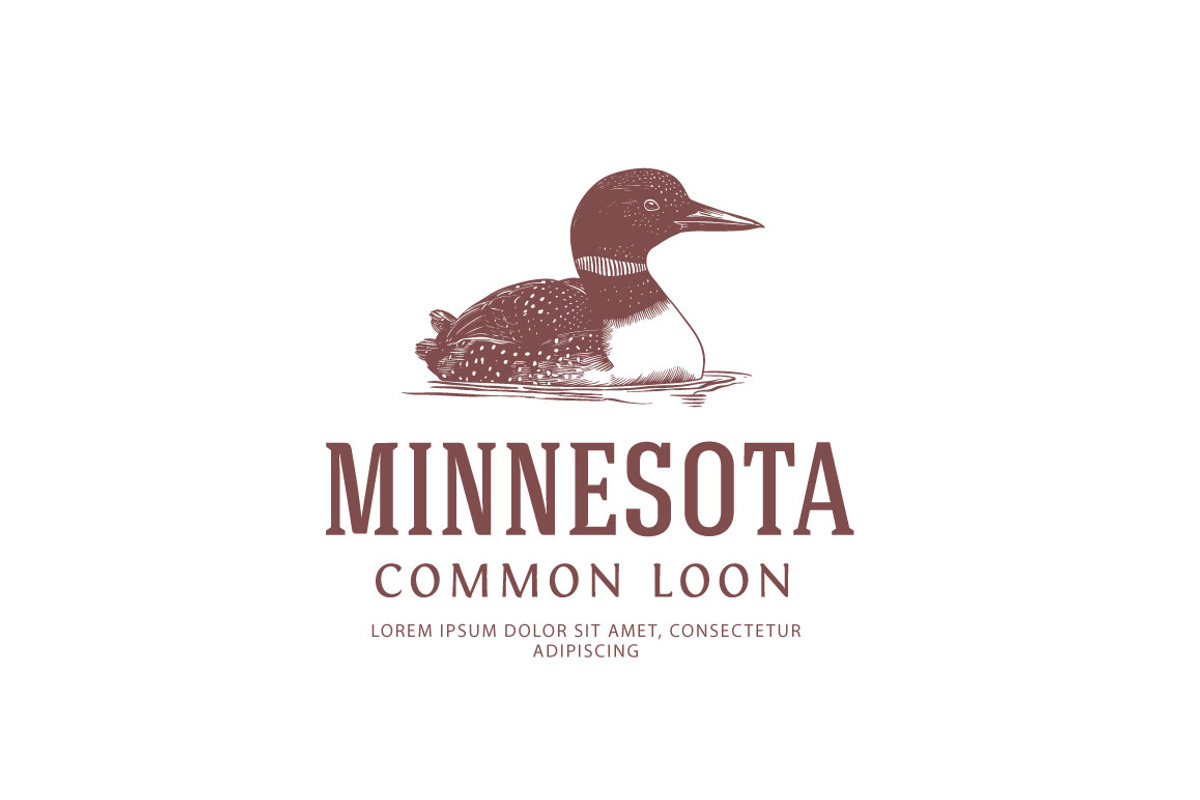USA Birds - Minnesota - Common Loon, a Branding & Logo Template by vatesdesign