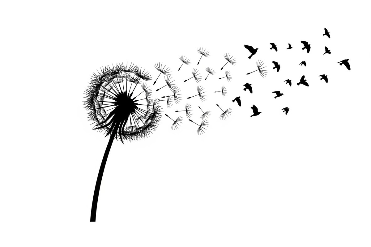 Dandelion Blow Silhouette Bundle, an Illustration by yasushie (Photo 9 of 31)
