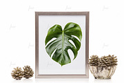 Silver 8x10 frame isolated mockup, a Print Template by JustLikeMyDesktop (Thumbnail 1 of 3)