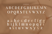 Branck - Modern Luxury Logo Font, a Serif Font by Sensatype (Thumbnail 10 of 12)