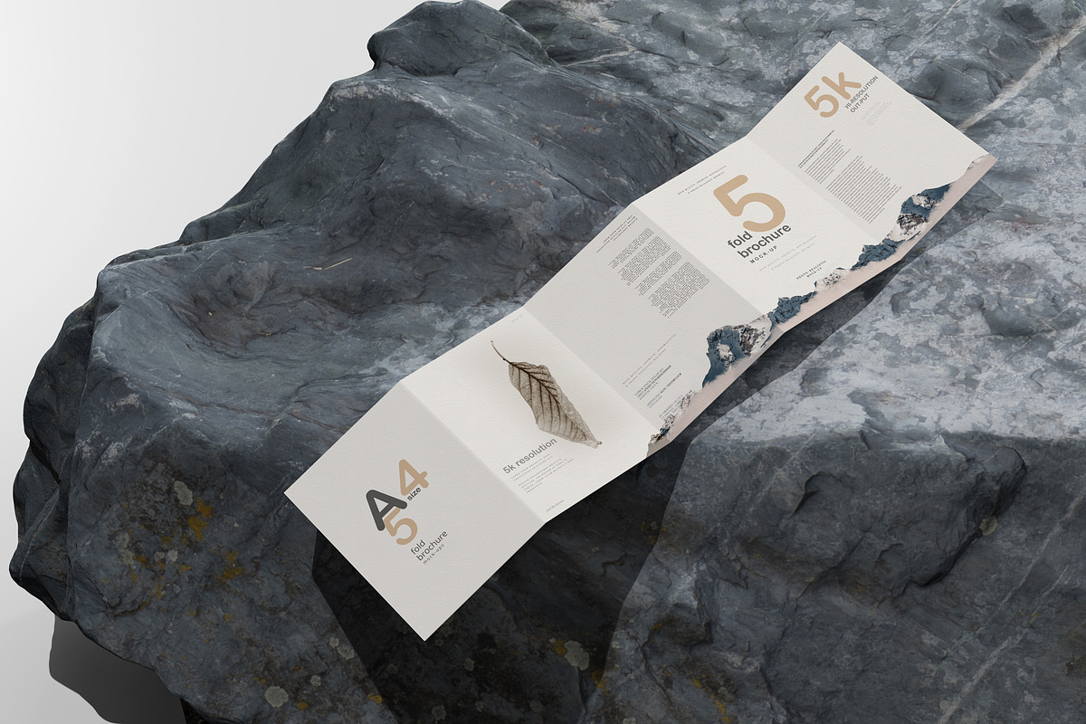 A4 Size Five Fold Brochure Mockup, a Print Template by pmvch (Photo 17 of 20)