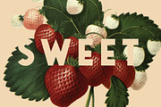 Saveur Sans, a Sans Serif Font by Arkitype (Thumbnail 14 of 15)