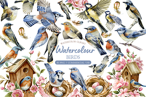 Watercolor Birds Clipart Collection, an Illustration by MockupWizard