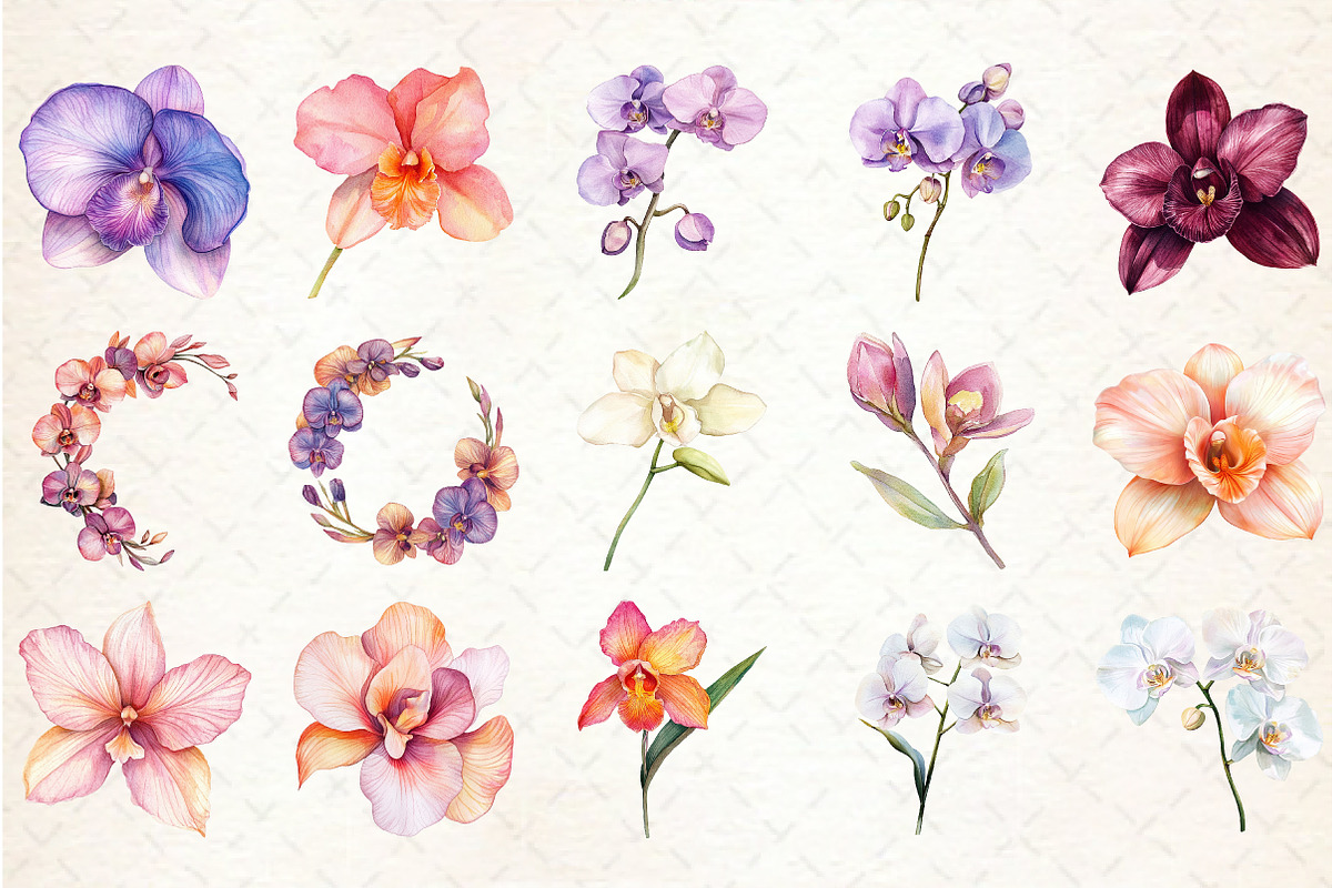 Watercolor Orchid Clipart, an Illustration by Rose Art (Photo 3 of 7)