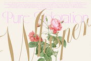 GEFUHATPIN — Elegant Calligraphy, a Script Font by Enxyclo Studio (Thumbnail 15 of 23)
