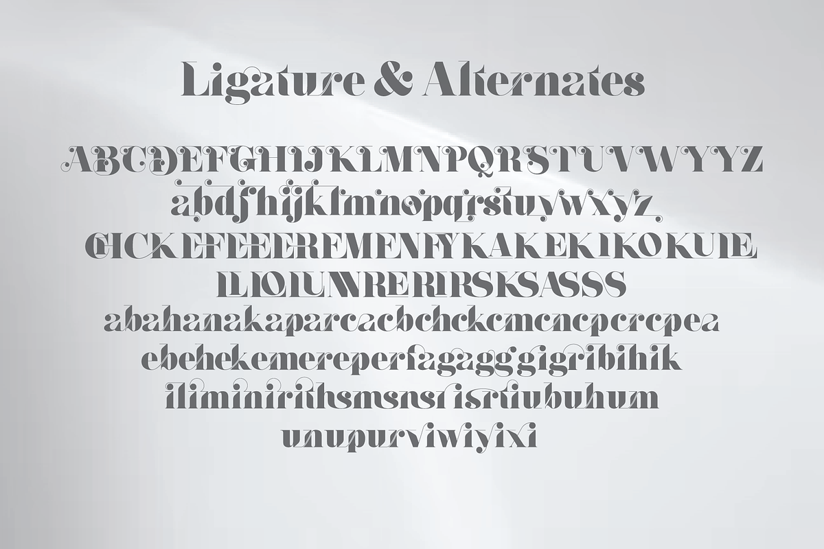 BAFALL, a Serif Font by jaffana.co (Photo 4 of 6)