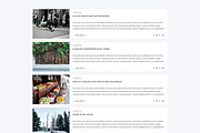 Aresivel -WordPress Blog Theme, a WordPress Template by myshopkit (Thumbnail 5 of 14)