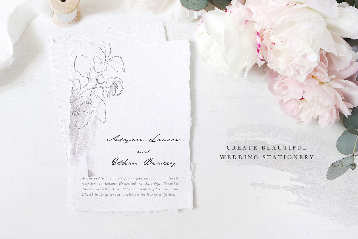Linger - Fine Art Florals & Textures, a Texture Illustration by Greta Ivy (Photo 6 of 9)