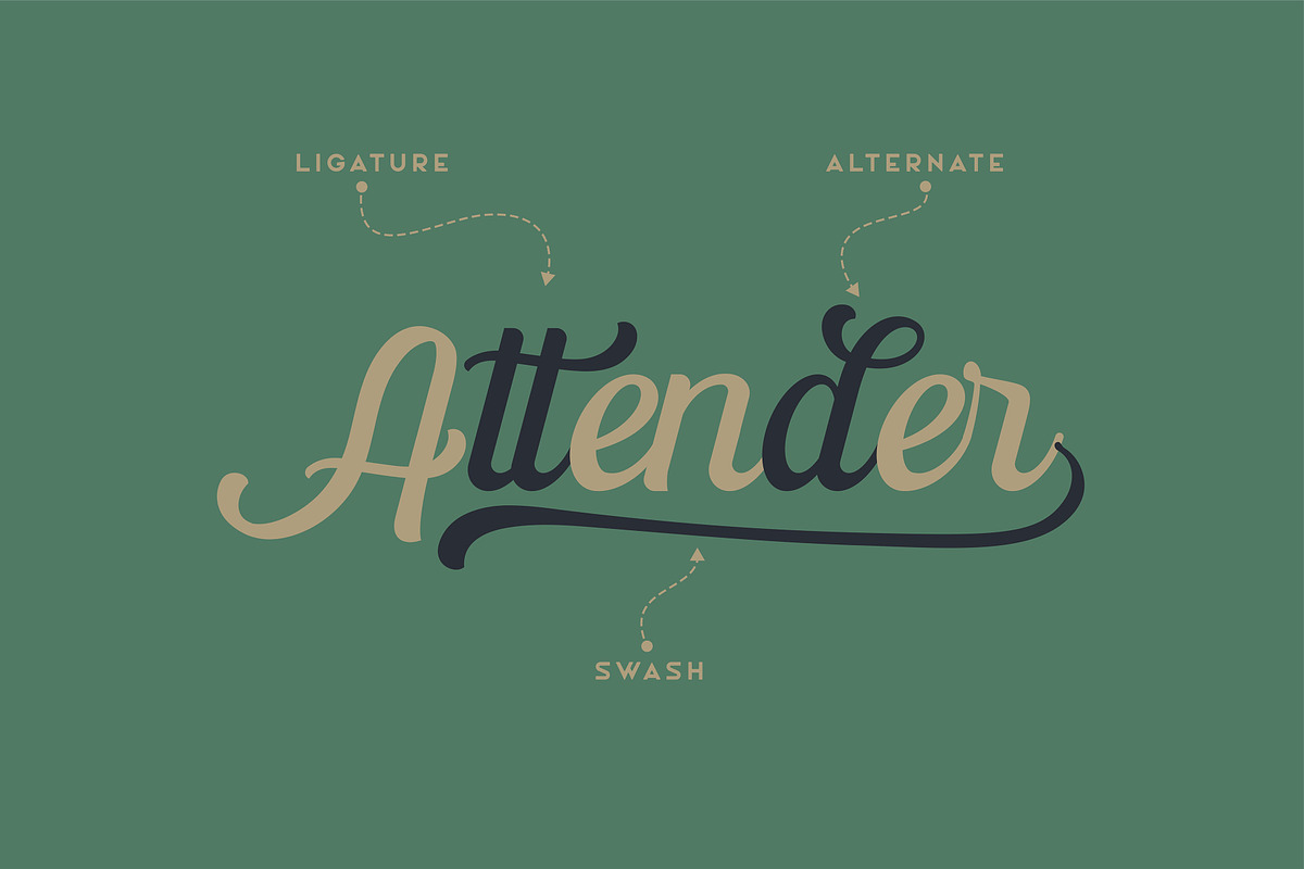 The Paiton -Modern Script Font, a Script Font by Morisco (Photo 2 of 9)