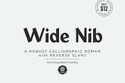 Wide Nib, a Sans Serif Font by Doug Best Foundry (Thumbnail 2 of 3)