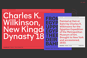 Brutalista - Family 50% off, a Blackletter Font by Latinotype (Thumbnail 4 of 15)