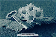 Authentic Cyanotype LUTs, a Plug-in Add-On by Raztrend (Thumbnail 22 of 32)