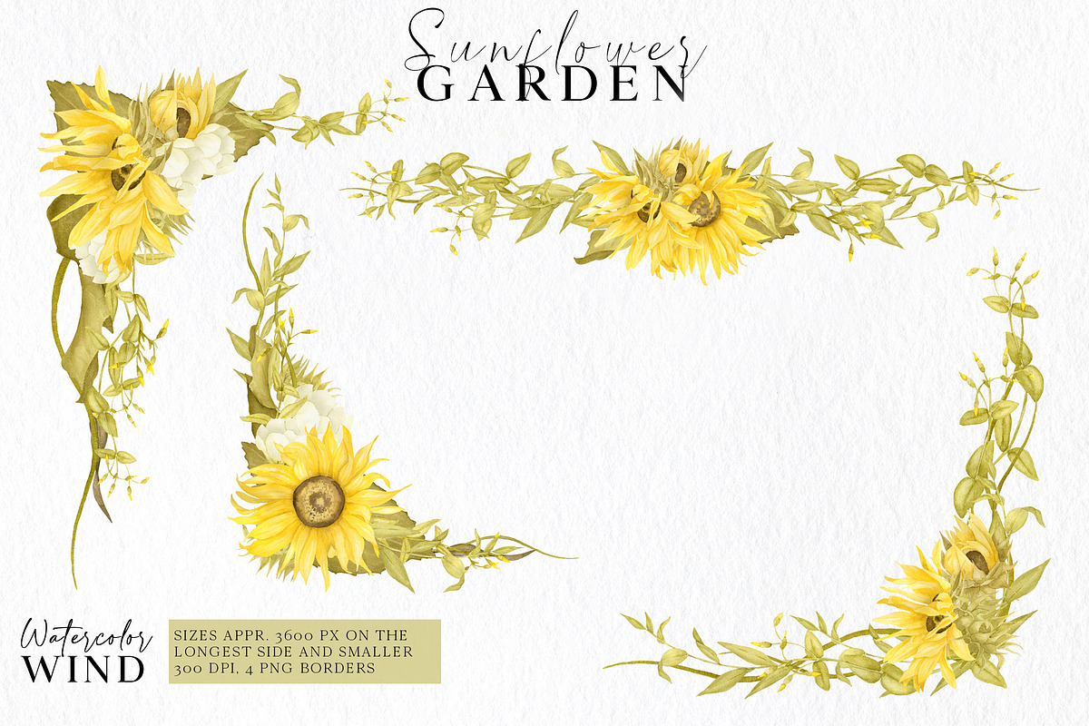Watercolor Sunflowers Clipart, an Illustration by Ksenia Shmakova (Photo 5 of 12)