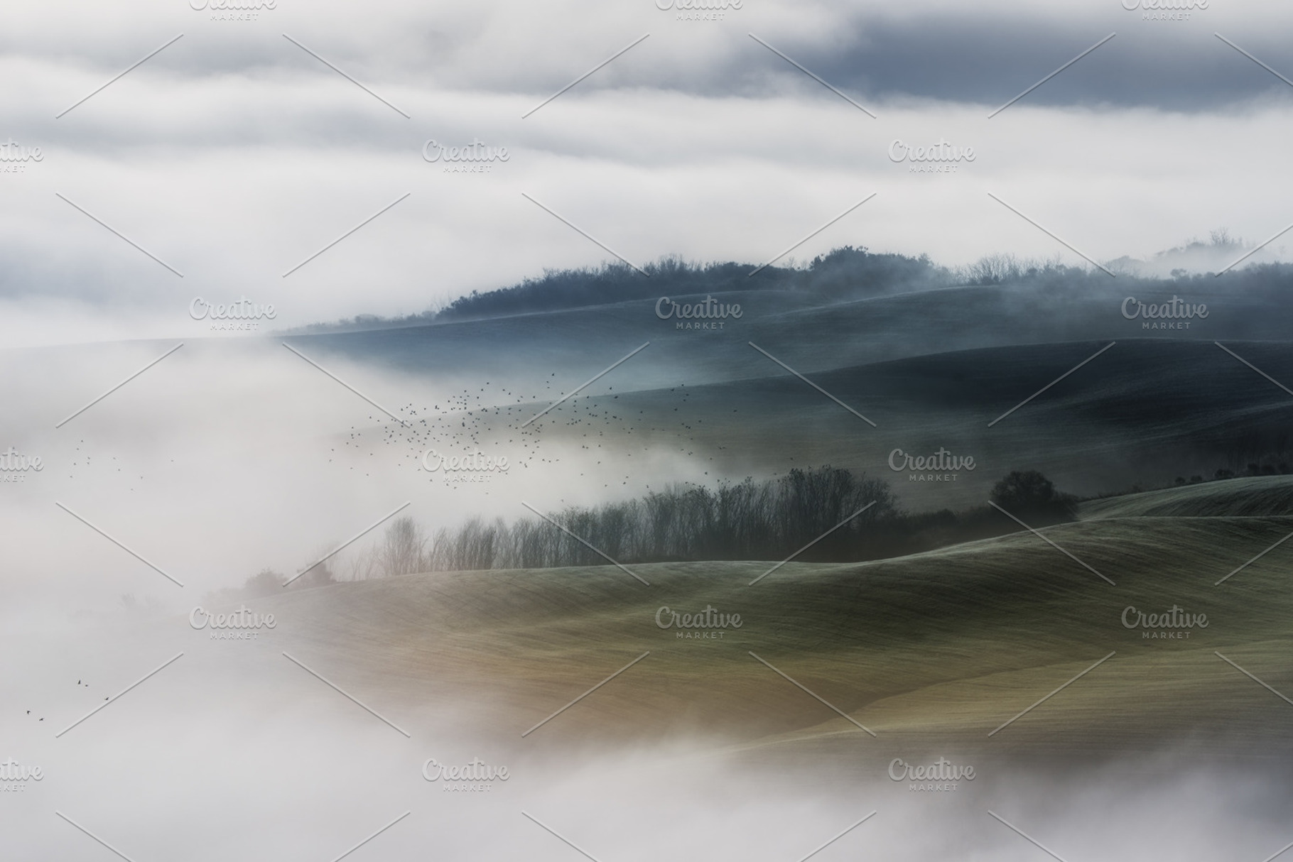 Fog on the valley fields val d'orcia stock photo containing agriculture and, a Nature Photo by naumenkophotographer