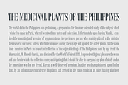 Vincente, a Serif Font by Dharma Type (Thumbnail 9 of 10)