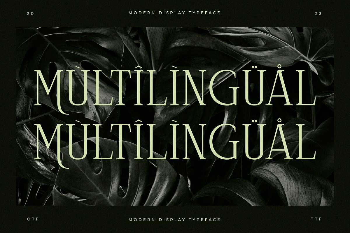 Celliqath Modern Display, a Serif Font by Storytype Studio (Photo 12 of 15)
