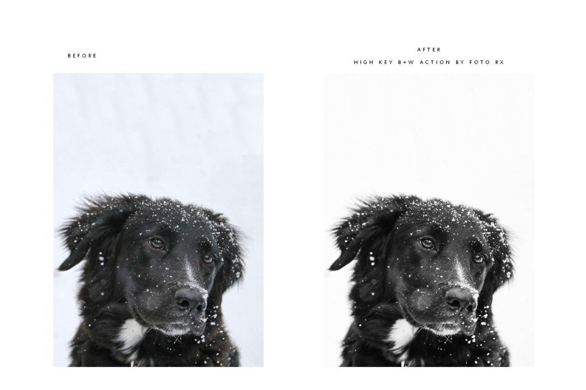 FINE ART BLACK + WHITE PS ACTIONS, an Action Add-On by Foto Rx Co. (Photo 12 of 14)