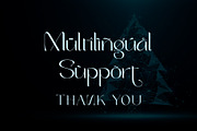 Christmas Elegant, a Serif Font by Letterara (Thumbnail 10 of 10)