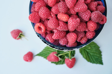 Bowl with natural ripe organic berries, top view with copy space, a Food & Drink Photo by Rohan Photography