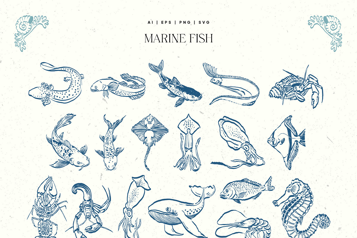 Aesthetics Ocean | Illustration Kit, an Object Illustration by KetteCreate (Photo 7 of 17)