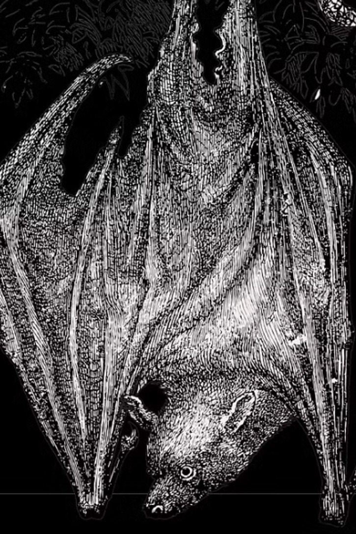 Ghastly Ghouls