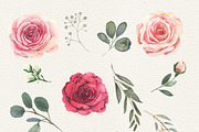 Elegance roses clipart, a Decorative Illustration by AnnelyBlooms (Thumbnail 4 of 13)