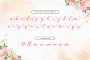 Bomjela - a romantic font, a Handwritten Font by Siwox Studios (Thumbnail 7 of 8)