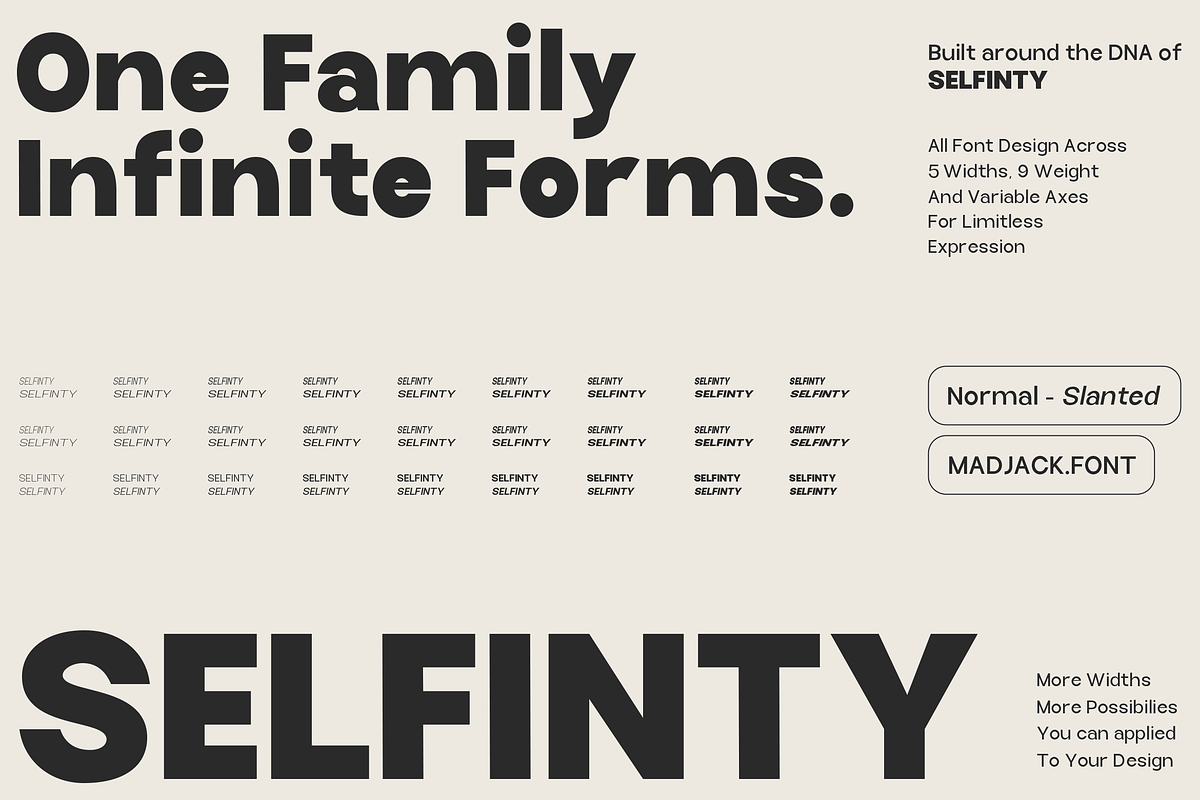 Selfinty Sans - 90 fonts + variable., a Sans Serif Font by Madjack.font (Photo 3 of 15)