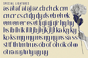 Quaffing Together - Modern Font, a Serif Font by 177Studio (Thumbnail 8 of 8)