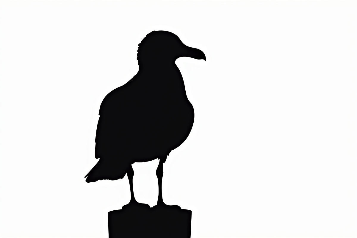 Bird Silhouette design bundle, an Illustration by BIPLOB EXPERT (Photo 4 of 13)