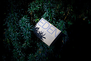 FORMAT EDEN ECO BOX 01