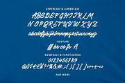 Mingers Monoline Script Font, a Script Font by Maulana Creative (Thumbnail 5 of 7)
