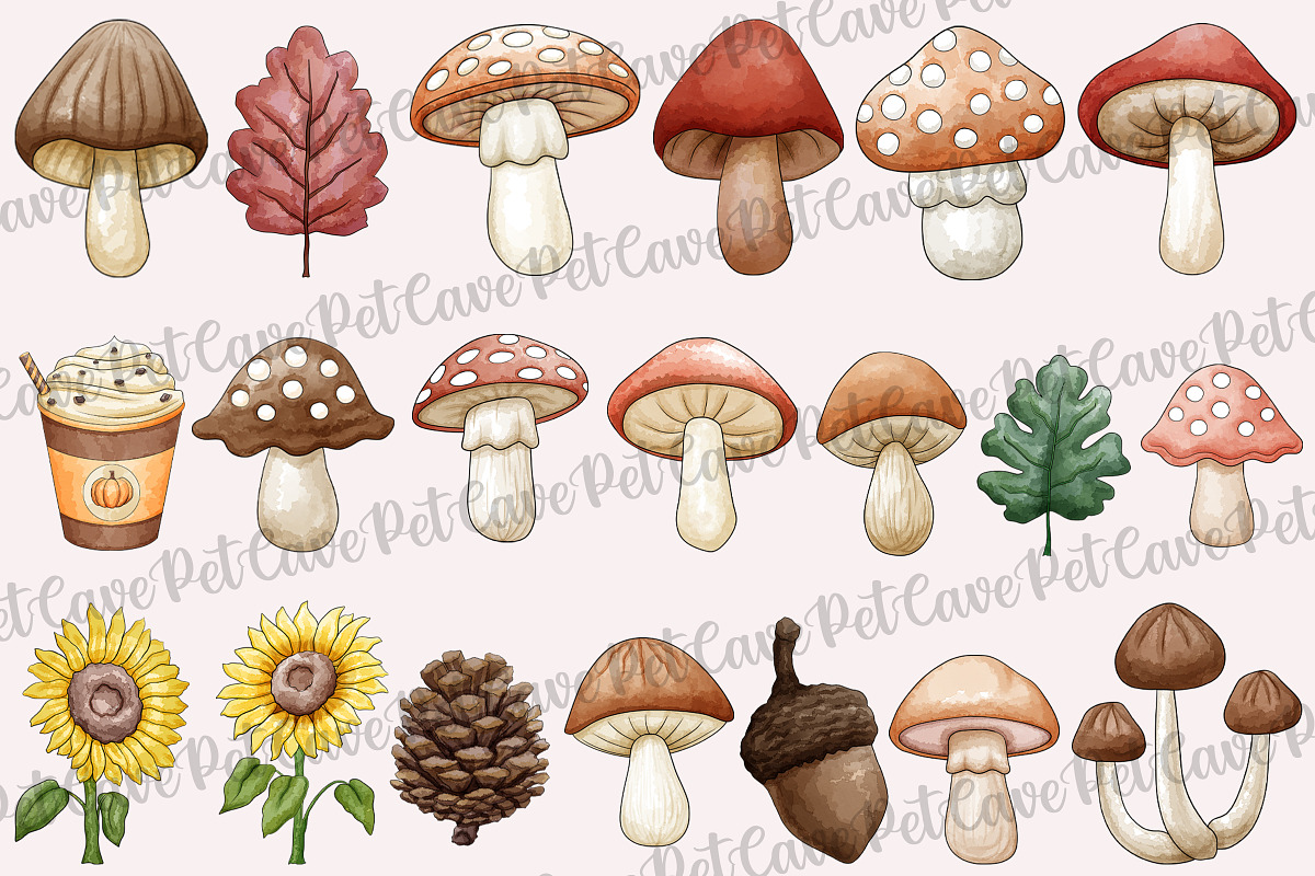 Pumpkin Illustrations PNG Bundle, a Seasonal Illustration by Pet Cave (Photo 2 of 3)