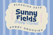 Jollune Fields Font Duo, a Handwritten Font by Sixtype (Thumbnail 3 of 10)