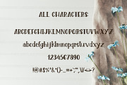 Lovely Creature. Cute Serif Font., a Serif Font by Sentimental postman (Thumbnail 4 of 4)