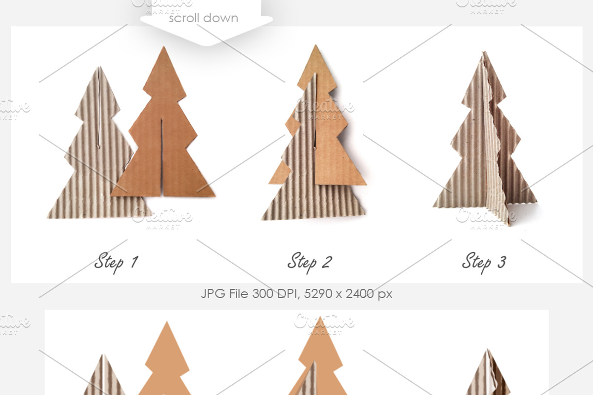 Winter Decoration, an Object Graphic by Marina Grau (Photo 2 of 4)