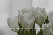 Thursday Morning Handwritten Font, a Handwritten Font by The Gelato Type (Thumbnail 23 of 31)