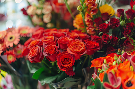 A colorful bouquet of red roses acco, a Photo by Tanuart