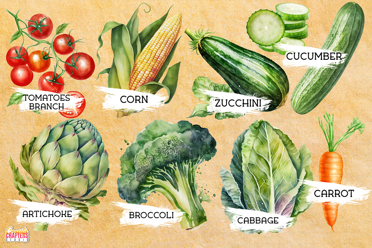 55 Vegetables Watercolor Clipart PNG, a Graphic by Craftsy Crafters (Photo 2 of 6)
